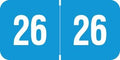 2026 Year Labels, Doctor Stuff 2026 Chart Stickers, Light Blue/White Color Coded by DoctorStuff