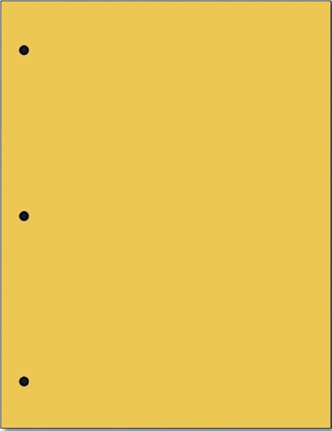 Copy And Printing Color Paper, 20 Lb. 3 Hole Punch 500 Sheets Per Ream. by Limited+Papers