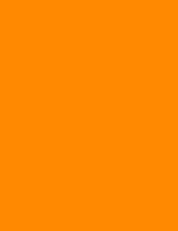NextDayLabels - 8-1/2 x 11" Neon Color High Light Fluorescent Labels by NextDayLabels
