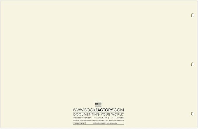 BookFactory Ledger Sheets/Large 2 Column Accounting Ledger Columnar Loose Leaf - Image 3