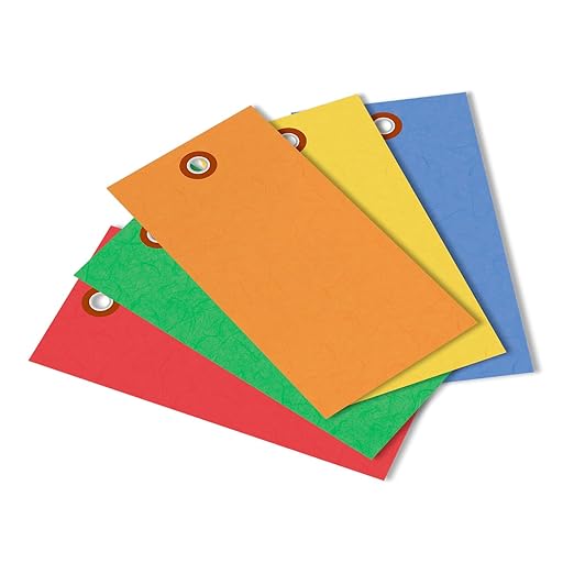 SmartSign 4.75 x 2.375 inch Multi Colored Blank Tyvek Shipping Tags by SmartSign