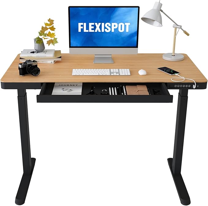 FLEXISPOT Electric Standing Desk by FlexiSpot