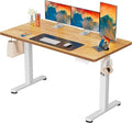 ErGear Height Adjustable Electric Standing Desk, 55 x 28 Inches Sit Stand up by ErGear