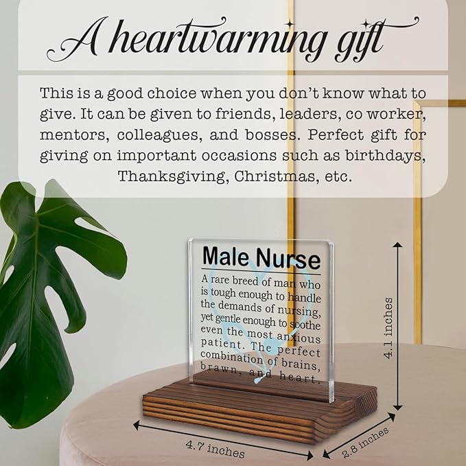 Male Nurse Gifts, Appreciation Desk Sign - Image 4