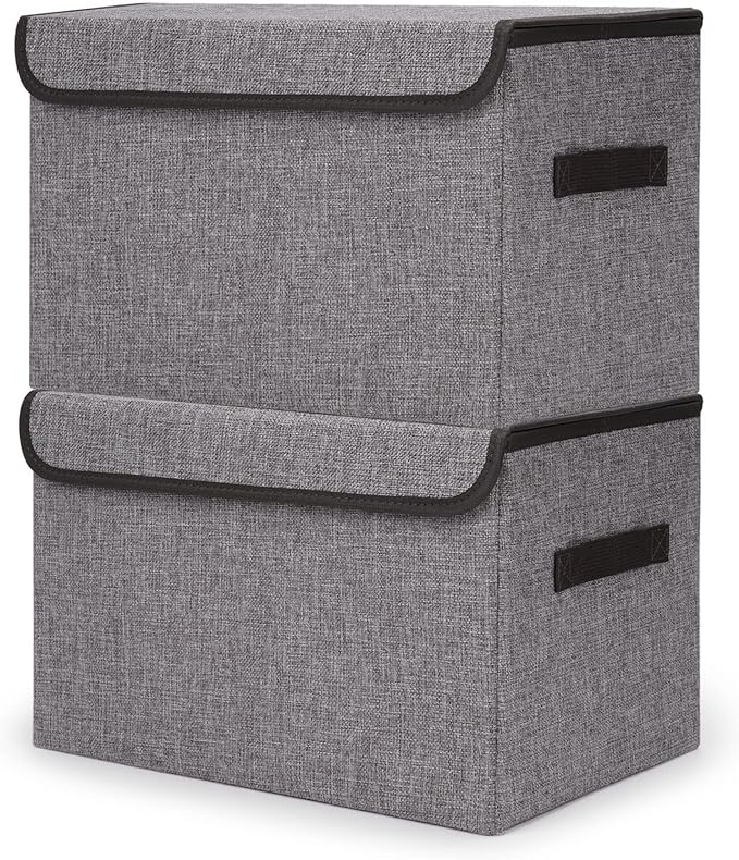 Bagnizer Large 42 Quarts Fabric Storage Bins by Bagnizer
