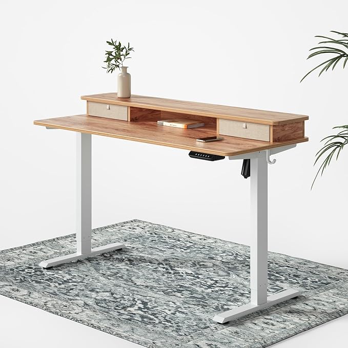 FEZIBO 48 x 24 Inch Whole-Piece Height Adjustable Standing Desk by FEZIBO