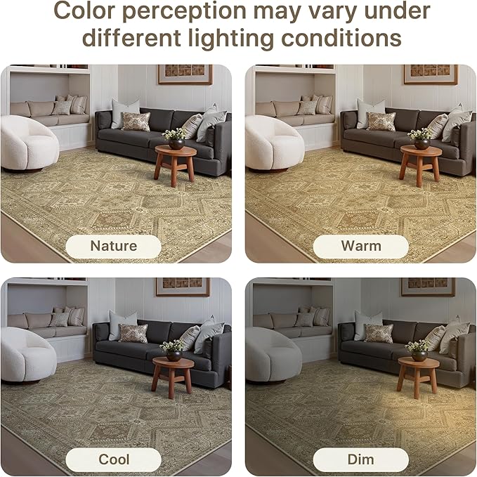 GENIMO Area Rug 2x3 Doormat, Machine Washable Low Pile Rugs, Small Retro - Image 7