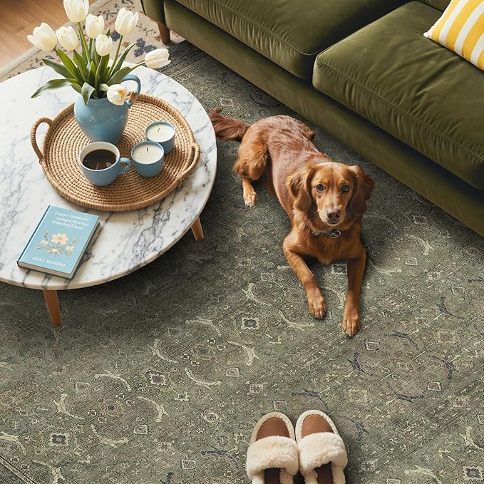 GENIMO 2x3 Area Rugs for Living Room, Machine Washable Non Slip Vintage Rugs - Image 4